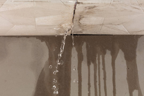 Professional Water Damage Restoration technician working in Wellman, IA
